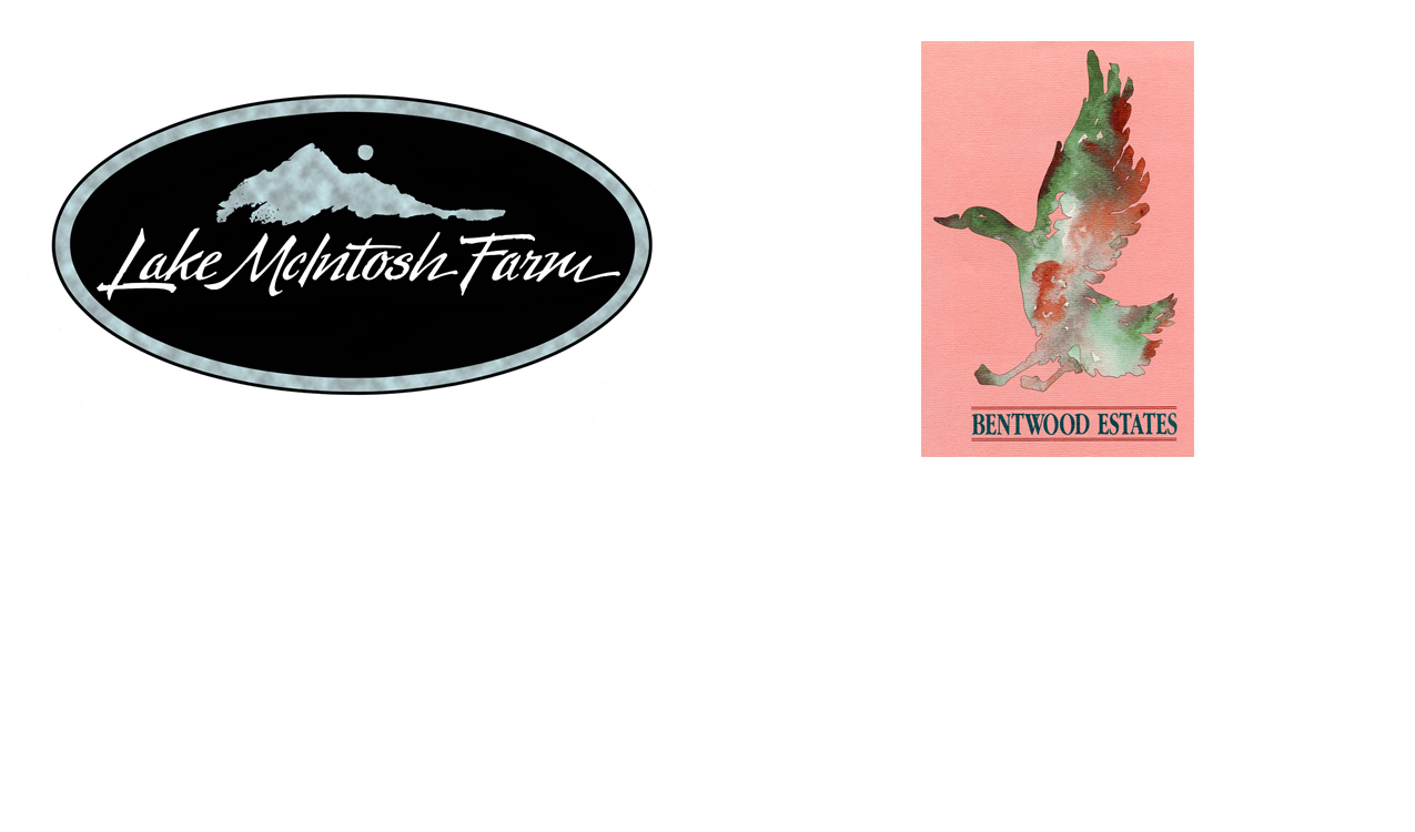 Res Real Est logo pg 11b