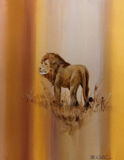 Wildlife Watercolor Painting of Lion by Bruce White