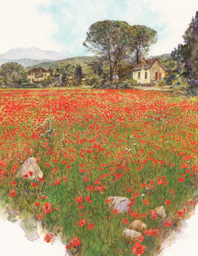 Poppy Field in Provence France watercolor painting by Bruce White Artist